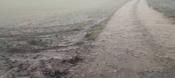  قطعة أرض في Villanueva de la Serena, Spain 9500متر مربع رقم 89015 3