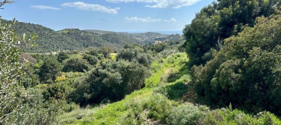 Grundstück in Malaga, Spain, Nr. 137922 8