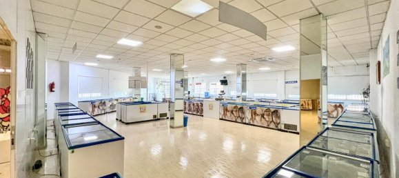 270m² Commercial property in La Mojonera, Spain No. 191372 6