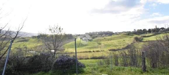 3 bedrooms Villa in Borghi, Italy No. 53951 25