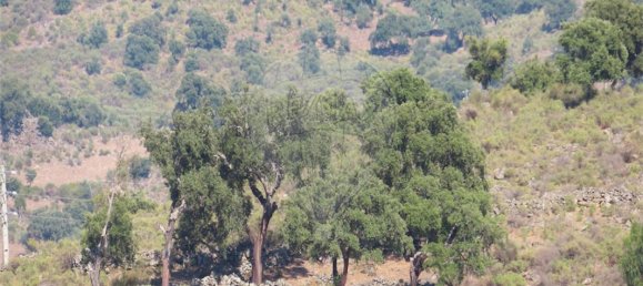 4 bedrooms House in Idanha a Nova, Portugal No. 161018 10