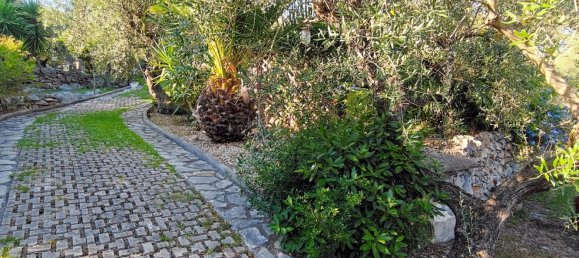 7 rooms Villa in Terracina, Italy No. 305237 25