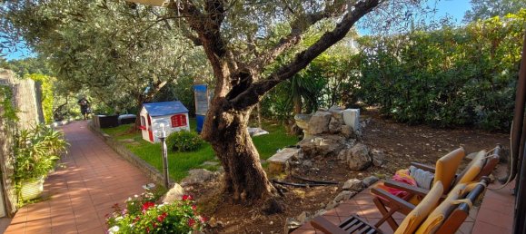 7 rooms Villa in Terracina, Italy No. 305237 2