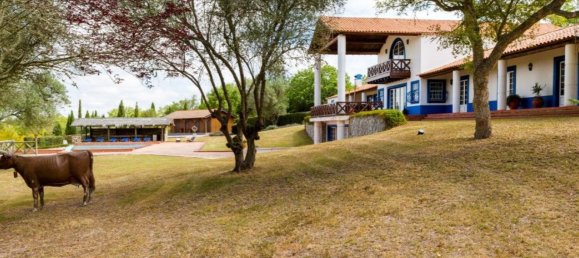 15 bedrooms Castles in Santiago do Cacem, Portugal No. 142410 40