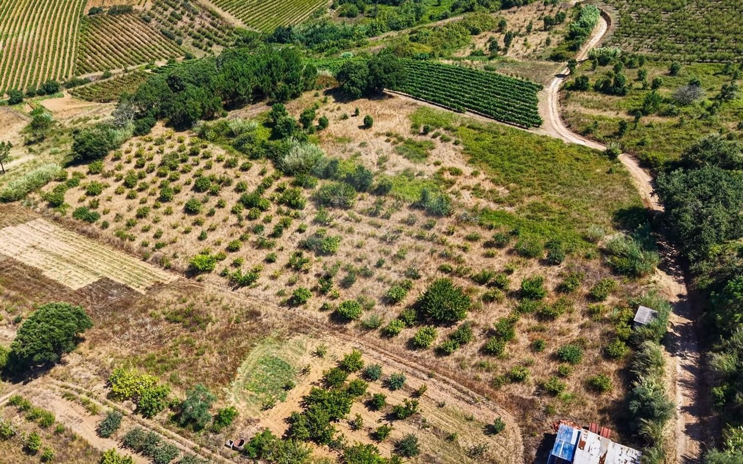Terrain à Torres Vedras, Portugal No. 287911