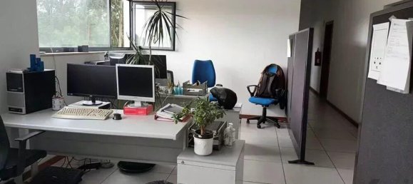 Gewerbliche Immobilie in Esgueira, Portugal 317m², Nr. 201325 10