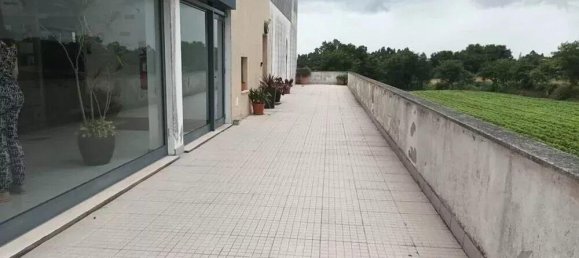 Gewerbliche Immobilie in Esgueira, Portugal 317m², Nr. 201325 4