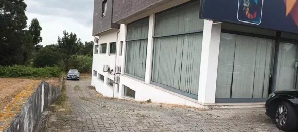 Gewerbliche Immobilie in Esgueira, Portugal 317m², Nr. 201325 2