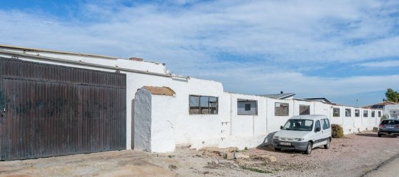 3 غرف نوم فيلا في La Marina, Spain رقم 185161 38