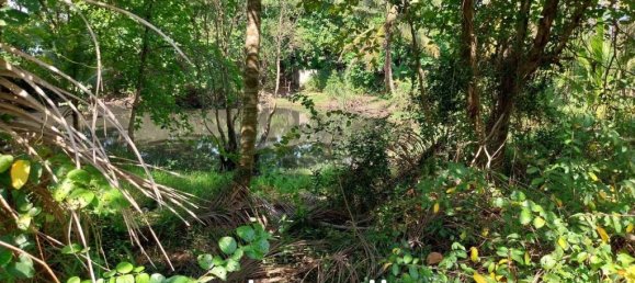  Commercial property in Bang Tao, Thailand No. 14444 4