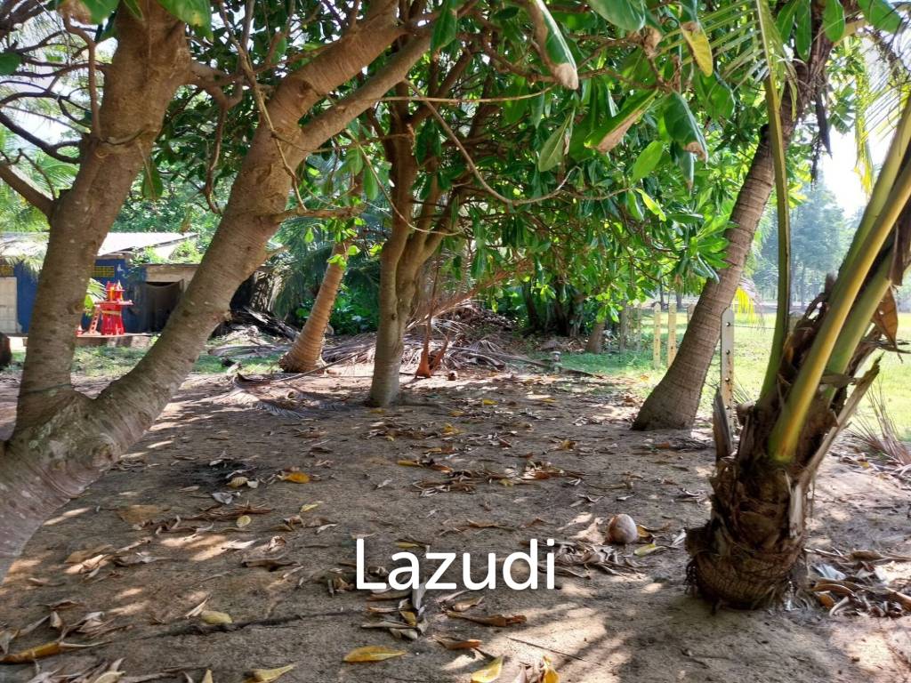  Commercial property in Bang Tao, Thailand No. 14444