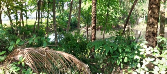  Commercial property in Bang Tao, Thailand No. 14444 3