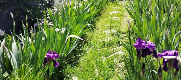 1 bedroom Apartment in Alpes-Maritimes, France No. 333648 3