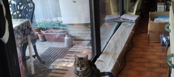 1 bedroom Apartment in Alpes-Maritimes, France No. 333648 7