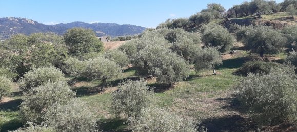 10-Zimmer Wohnung in Patti, Italy, Nr. 170891 11