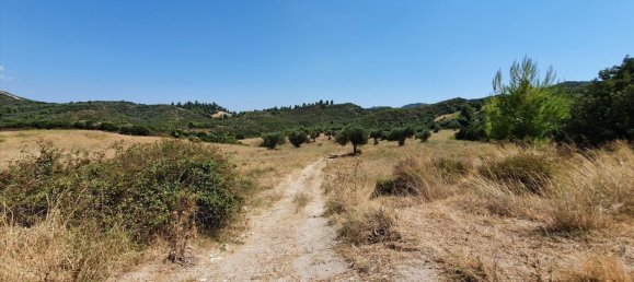 Hotel in Chalkidiki, Greece 30000m², Nr. 4120 3