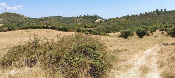 Hotel in Chalkidiki, Greece 30000m², Nr. 4120 5