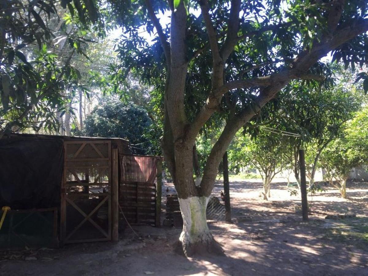 Terreno em Veracruz, Mexico N.º 203785