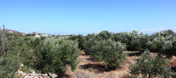 4800m² Hotel in Agios Nikolaos, Greece No. 6926 4