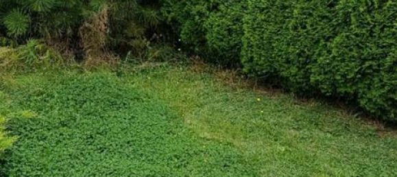 Земельный участок в Кассель, Германия № 140306 3