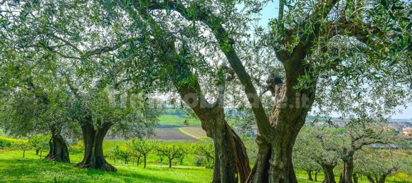 Villa de 4 dormitorios en Longiano, Italy No. 320024 21