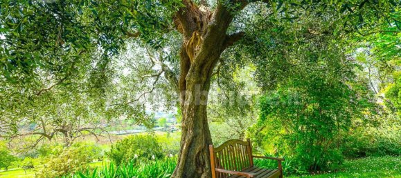 Villa de 4 dormitorios en Longiano, Italy No. 320024 19