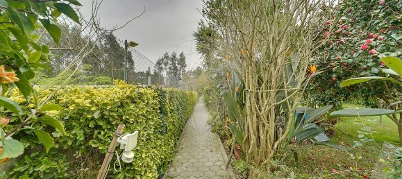 3 Schlafzimmer Villa in Cacia, Portugal, Nr. 29553 30