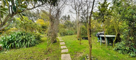 3 Schlafzimmer Villa in Cacia, Portugal, Nr. 29553 32