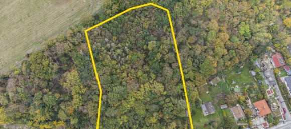 8 rooms House in Klosterneuburg, Austria No. 215988 3