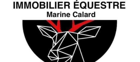 Замки и поместья с 3 спальнями в Вильнёв-сюр-Ло, Франция № 319576 2