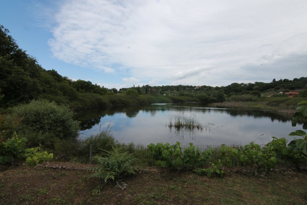 12000m² Hotel in Corfu, Greece No. 6290