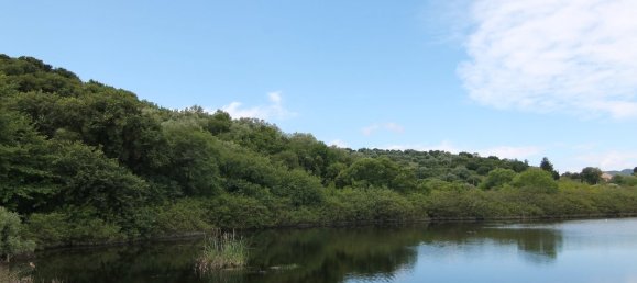 12000m² Hotel in Corfu, Greece No. 6290 3