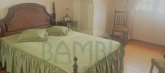 5 bedrooms House in Seixas, Portugal No. 52130 40