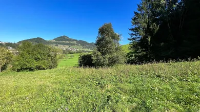  قطعة أرض في Grossraming, Austria 47207متر مربع رقم 230887