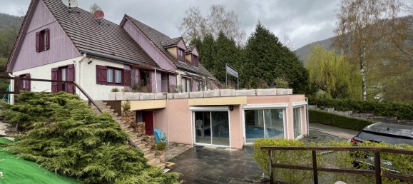 10 chambres Villa à Saint-Amarin, France No. 67688 7