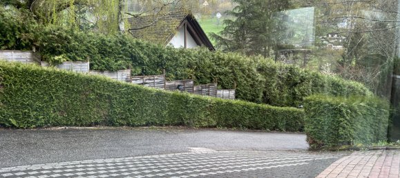 10 chambres Villa à Saint-Amarin, France No. 67688 19