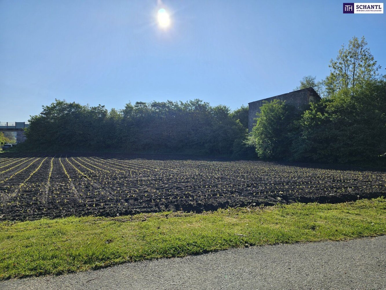 1074m² Land in Stainz, Austria No. 131089