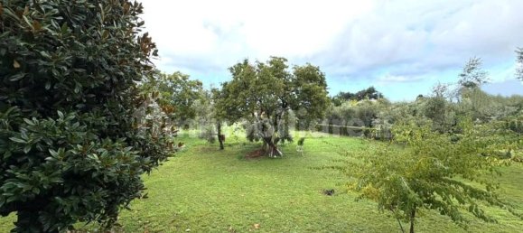 Villa de 4 dormitorios en Montignoso, Italy No. 349466 3