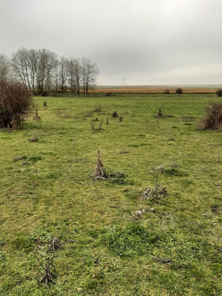  Land in Zamora, Spain No. 212740