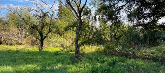  قطعة أرض في Rion-des-Landes, France 2500متر مربع رقم 286068 2