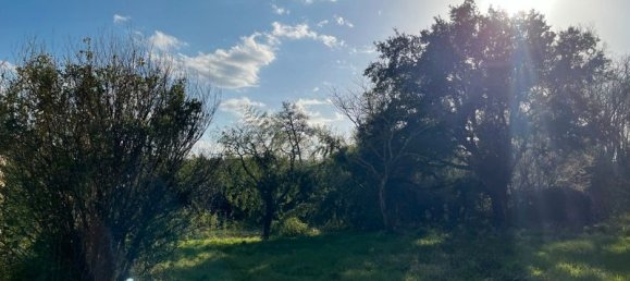  قطعة أرض في Rion-des-Landes, France 2500متر مربع رقم 286068 7