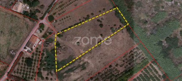 5505m² Land in Vila Nova de Cacela, Portugal No. 128091 4