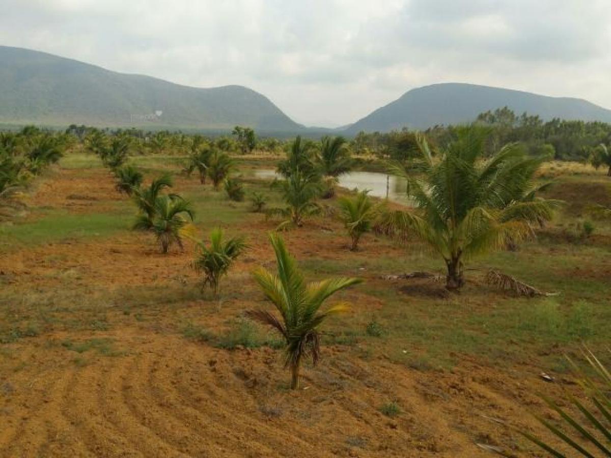 Земельный участок в Вишакхапатнам, Индия № 36409