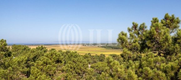 3722m² Land in Grandola, Portugal No. 117839 38