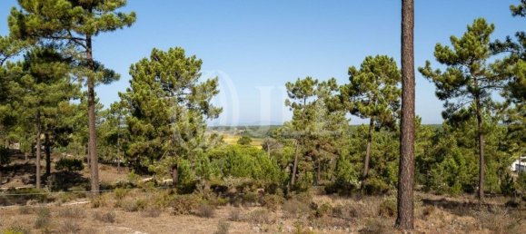 3722m² Land in Grandola, Portugal No. 117839 49