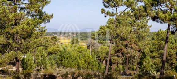 3722m² Land in Grandola, Portugal No. 117839 47