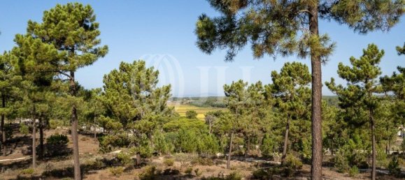 3722m² Land in Grandola, Portugal No. 117839 33