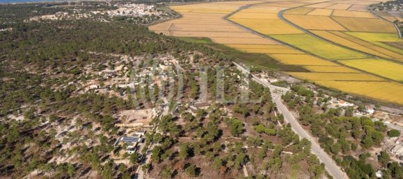 3722m² Land in Grandola, Portugal No. 117839 7