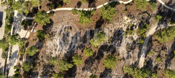 3722m² Land in Grandola, Portugal No. 117839 20