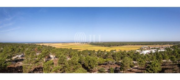 3722m² Land in Grandola, Portugal No. 117839 43